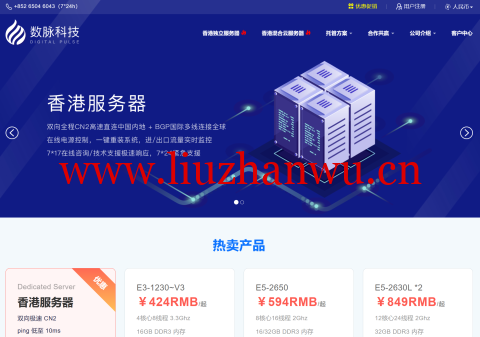 数脉科技:香港E3-1230v2/16G,199元/月,带宽可选30Mbps BGP/15Mbps优质BGP-吾爱主机测评
