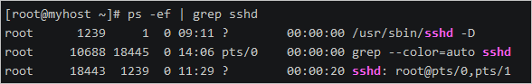 Linux指令入门-系统工作命令和状态检测命令 59 20200610 5ee05f054f26b