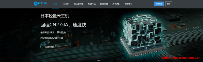 BGPINK:22元/月/1GB内存/10GB SSD空间/100GB流量/10Mbps-40Mbps端口/KVM/韩国LG/日本CN2 GIA/香港 3 BGPINK