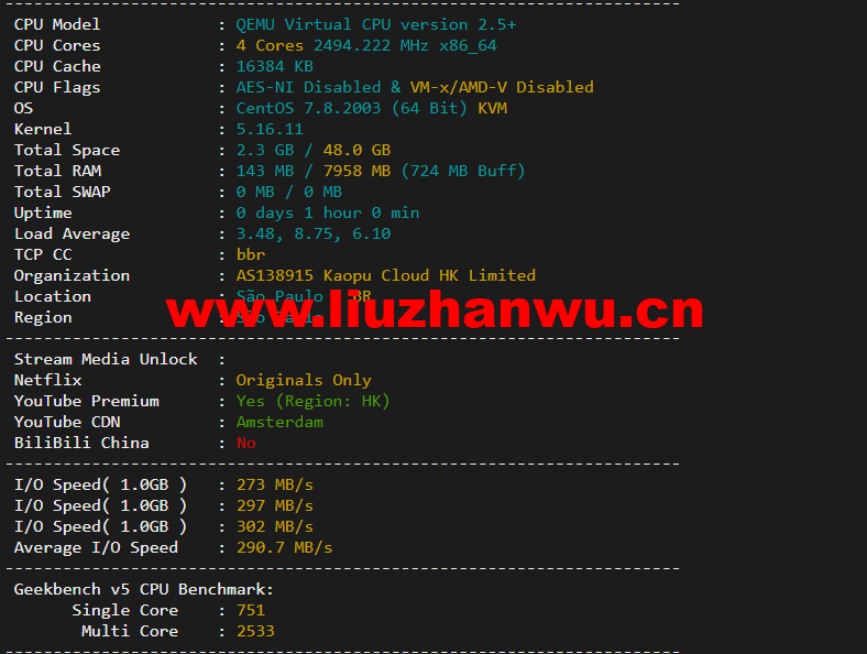 lightnode:新上巴西圣保罗VPS,1核/2G内存/50G硬盘/1000GB流量,月付$7.71,解锁流媒体/小时计费,简单测评 94 1648044622 配置信息