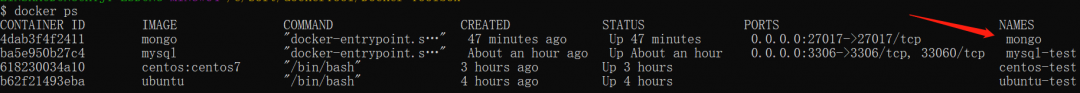 docker-mongo6 docker-mongo6