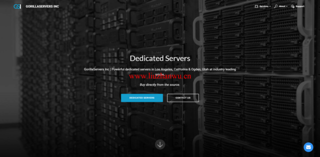 GorillaServers:美国盐城湖独服,E3-1270v3/32GB内存/64TB硬盘/50TB流量/1Gbps带宽,$99/月起-吾爱主机测评