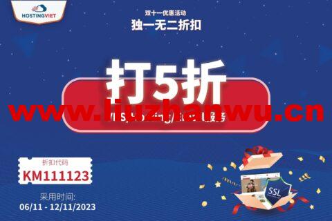 #11.11#HostingViet：越南VPS年付6折，1核/2GB/20G SSD/无限流量/1Gbps带宽，193元/年起-吾爱主机测评