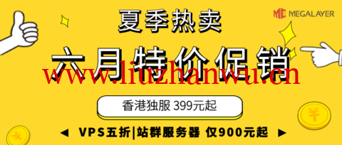#夏季热卖# Megalayer:VPS五折狂欢,24元/月起,独立服务器399元起,香港站群仅需900元/月!-吾爱主机测评