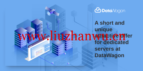 DataWagon:纽约机房独立服务器,E3-1240 V3/32GB内存/240GB SSD/50TB/1Gbps带宽,$39/月-吾爱主机测评