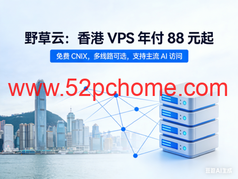 野草云：香港 VPS 年付 88 元起，免费 CNIX，多线路可选，支持主流 AI 访问-吾爱主机测评