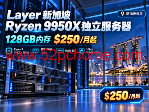Layer 新加坡 Ryzen 9950X独立服务器：128GB内存$250/月起，192GB DDR5/10Gbps可选-吾爱主机测评