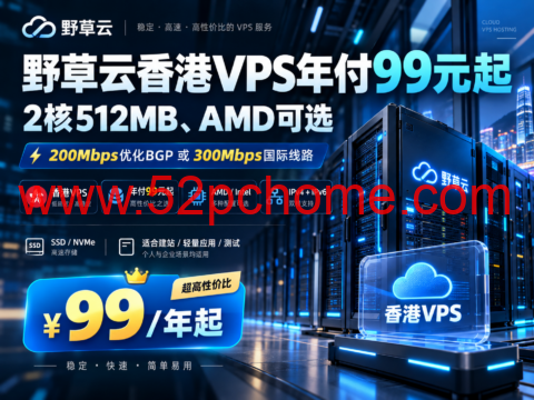 野草云香港VPS年付99元起:2核512MB、AMD可选,200Mbps优化BGP或300Mbps国际线路-吾爱主机测评